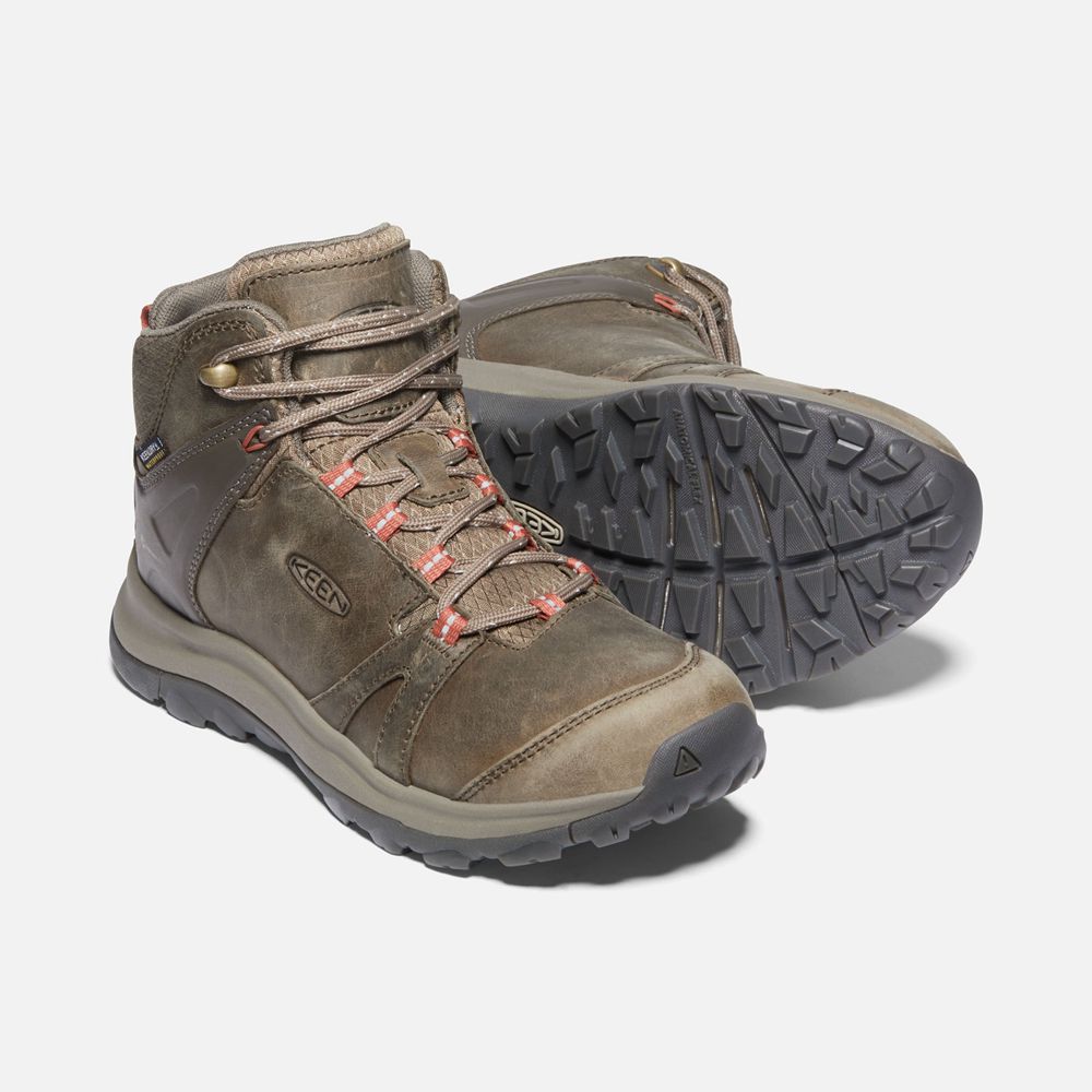 Keen Laarzen Dames Bruin - Terradora Ii Leern Waterproof - 15693-UBWH